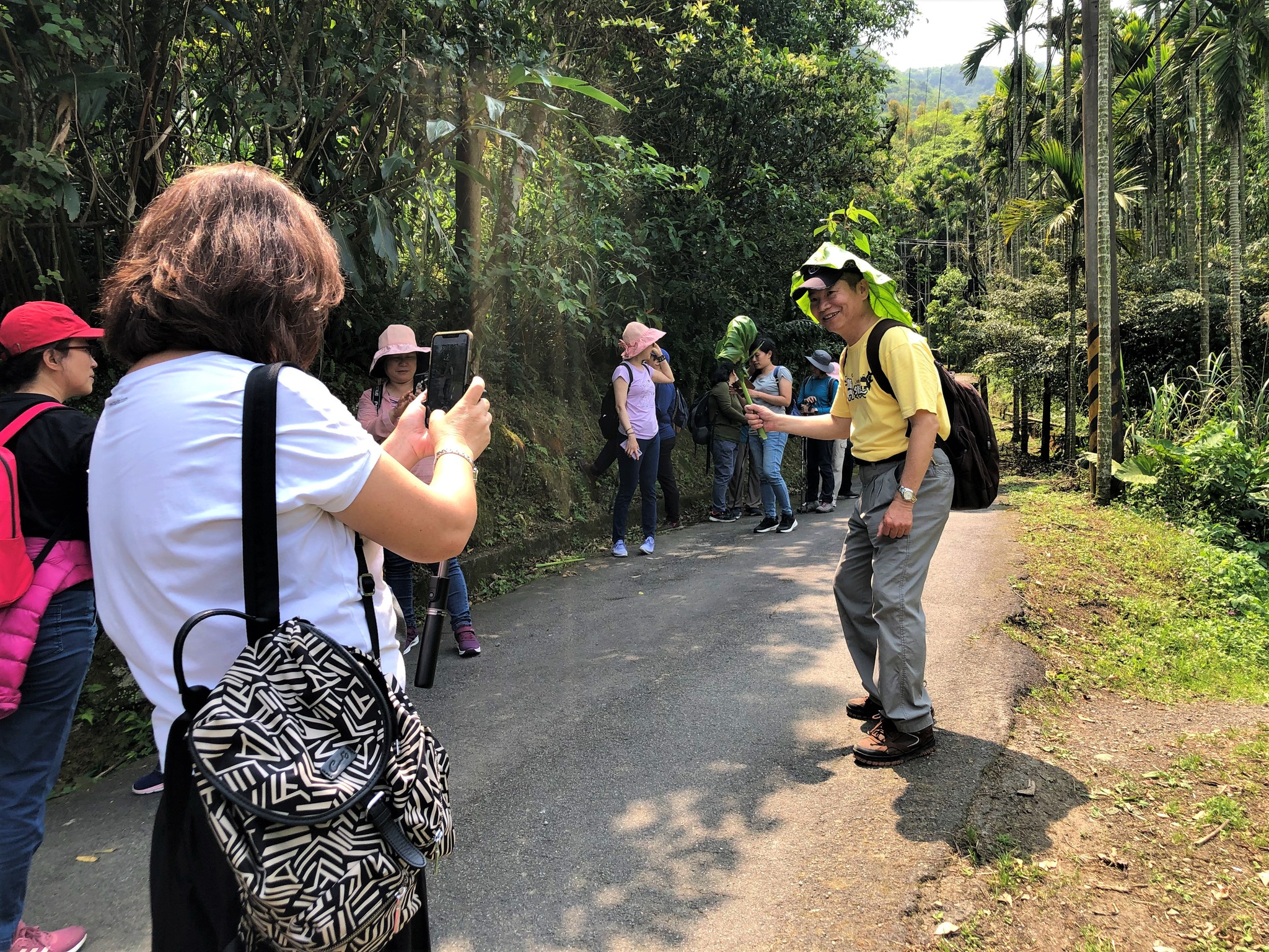 紫微登山保甲步道3