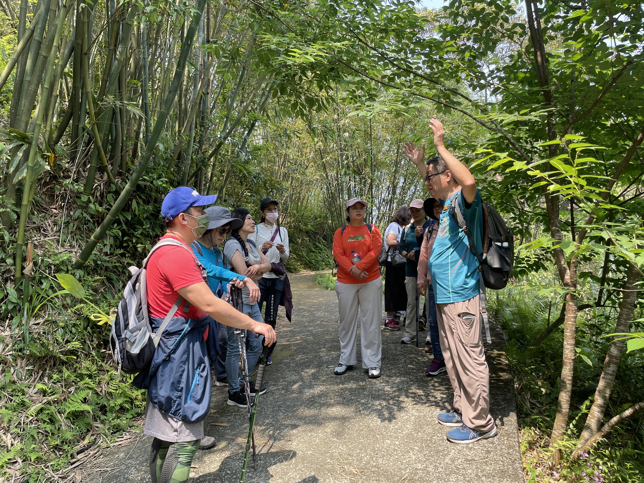紫微登山保甲步道