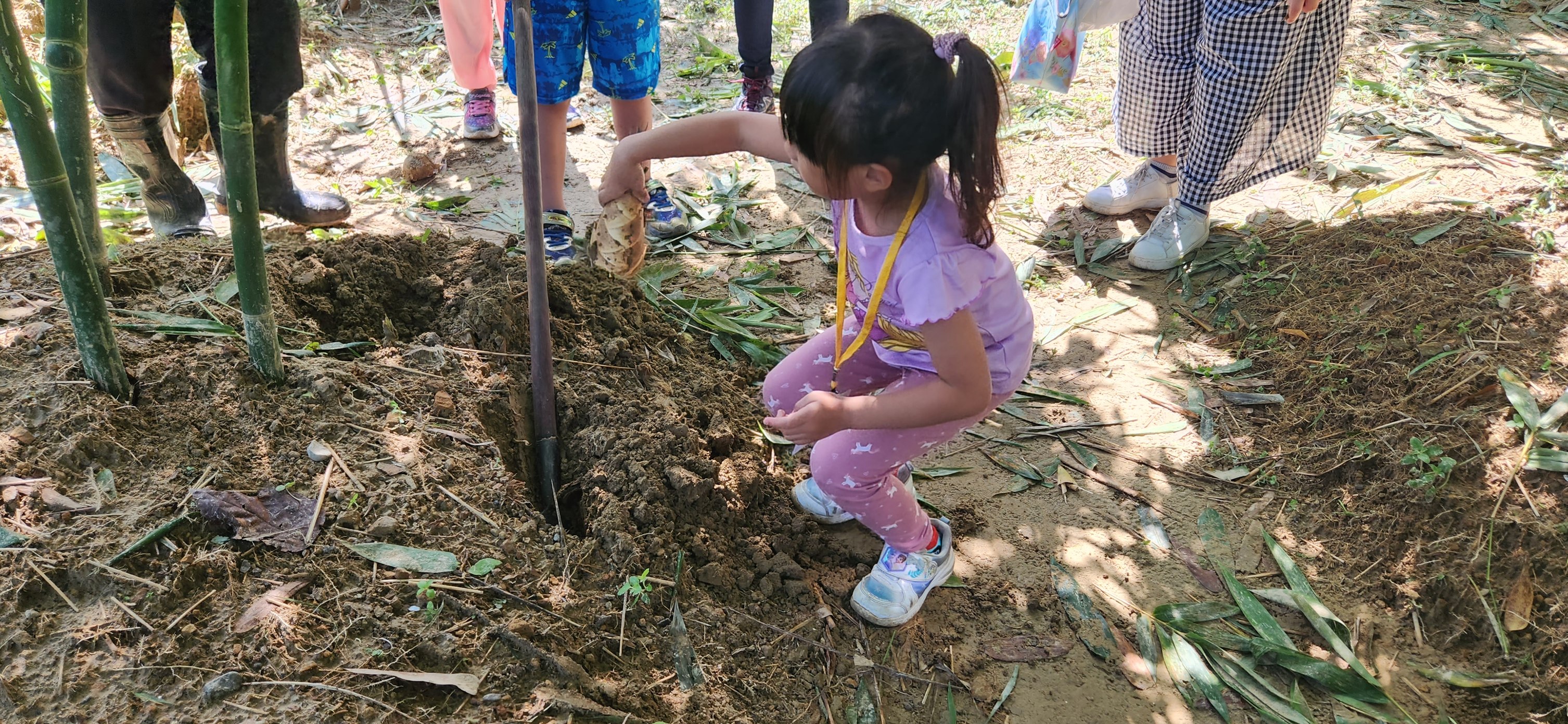 113年親子共學採筍體驗活動