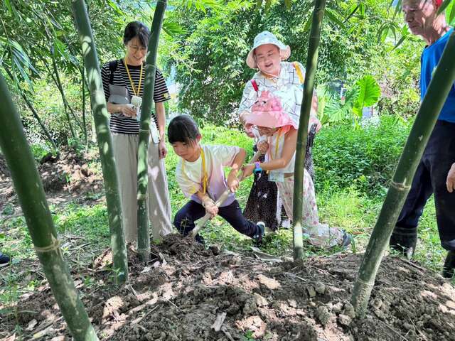 親子共學採筍、藍染體驗活動(第2梯)