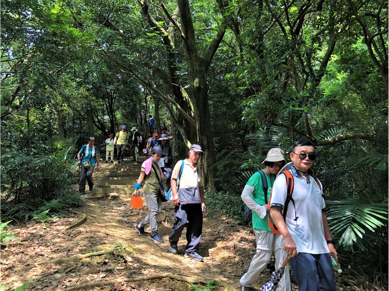 鳶山登山步道