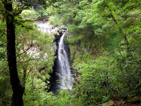滿月圓森林遊樂區