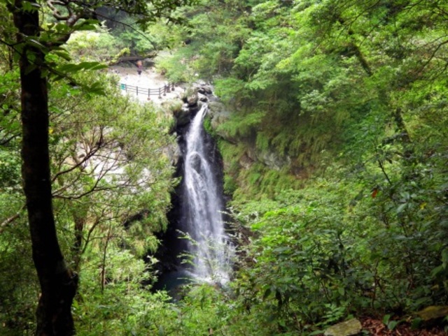 滿月圓森林遊樂區