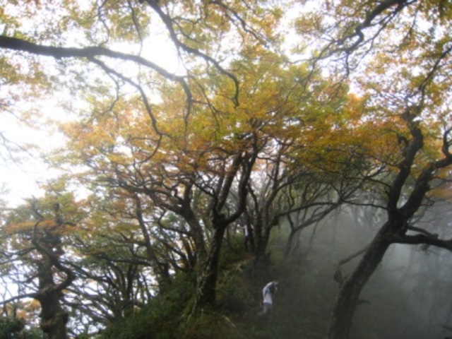 北插天山