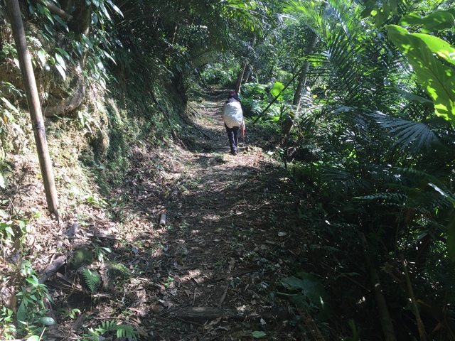 成福山步道