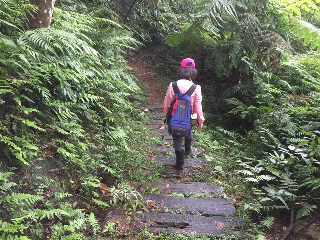 紫微聖母環山步道