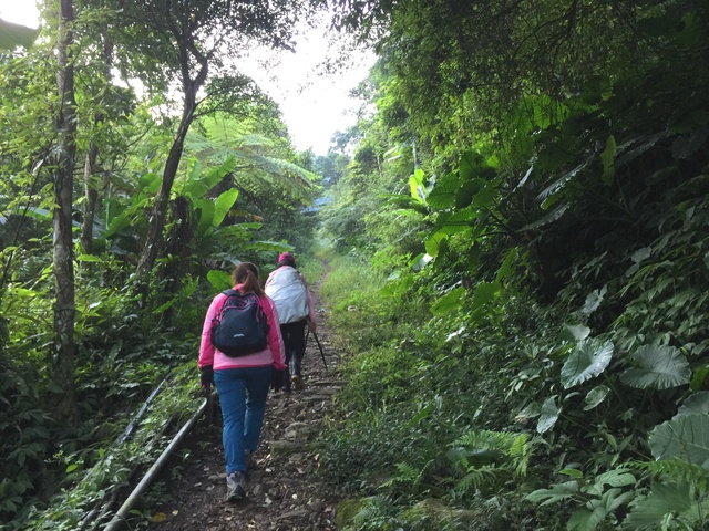 白雞山步道