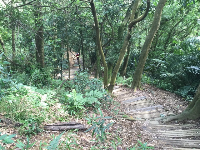 鳶山步道